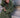 Khloe Cashmere Jacket